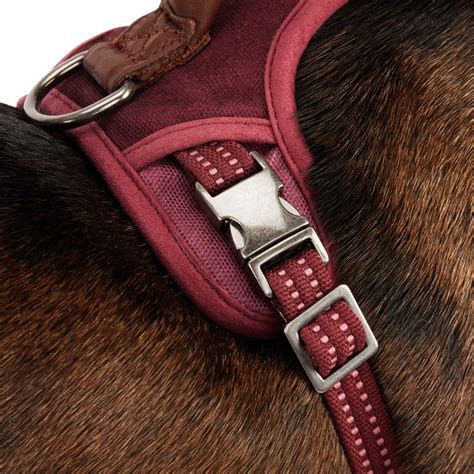 Reddy Burgundy Canvas Dog Harness | Canadian Tire
