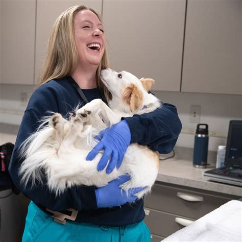 24 Hour Emergency Vet | BluePearl Pet Hospital | Skokie, IL