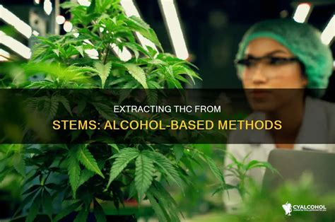 Image result for Alcohol THC Extraction Methods