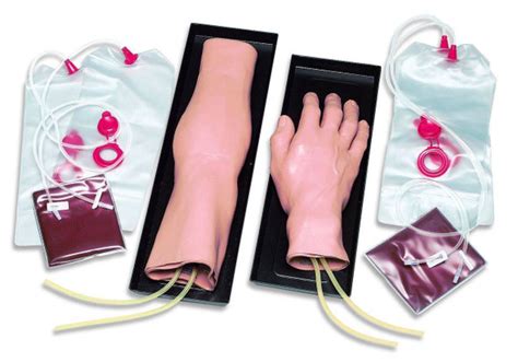 Image result for IV Training Arm Model