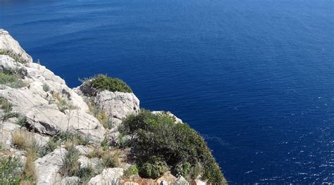 MINI FOLIES (Port d'Andratx, Majorca) - Hotel Reviews & Photos ...