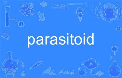 Image result for parasitoid