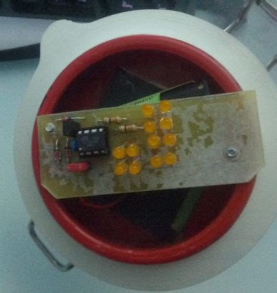 Firefly jars - electronic insanity