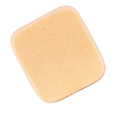 Buy Foundation Sponge (Rectangle) - NBRS at Best Price Online : 10% Off ...