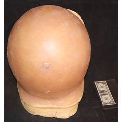 Image result for Alien vs Predator Pregnant Woman