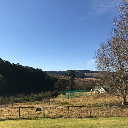 LAVENDER TROUT GUEST FARM (Nottingham Road) - Lodge Reviews, Photos ...