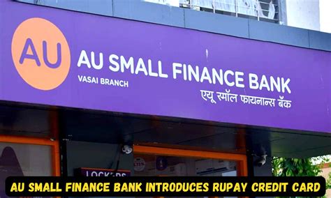 AU Small Finance Bank introduces RuPay credit card for self-employed ...