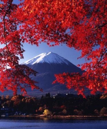Japan Mount Fuji 的图像结果