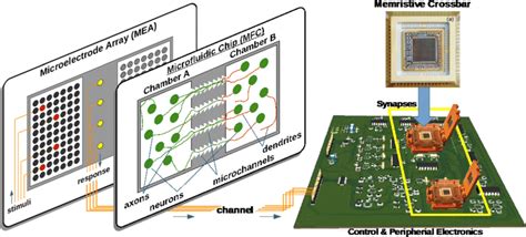 Neural Interface 的图像结果