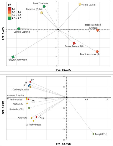 Community-Level Physiological Profiles of Microorganisms from Different ...