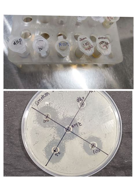 Image result for Well Diffusion Method