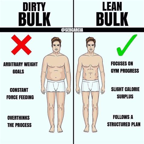 Lean Vs Bulk