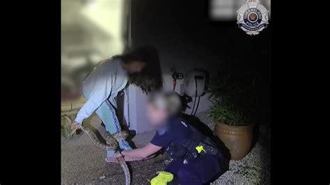 Image result for Python Wraps around Woman