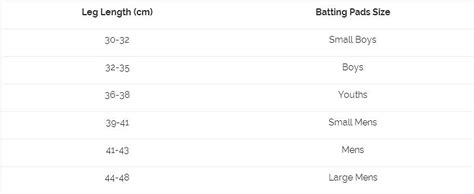 The ultimate guide to selecting cricket equipment: Bats, gloves ...