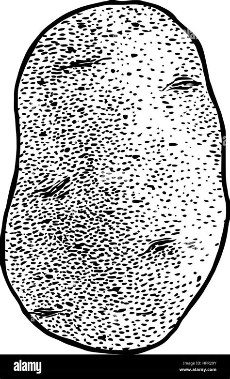 Image result for Potato Man Project Python Coding