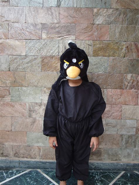 Fancy Dresses Ludhiana, Fancy Dress, Bhangra Dresses, Gidha Dresses