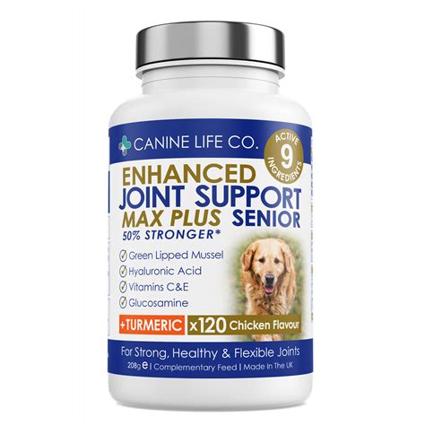 Glucosamine and Chondroitin - Joint Health Support for Aging Canines