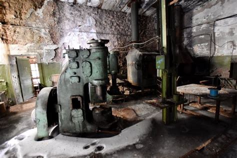 KMphoto-Expeditions (Longyearbyen) - 2022 What to Know Before You Go ...