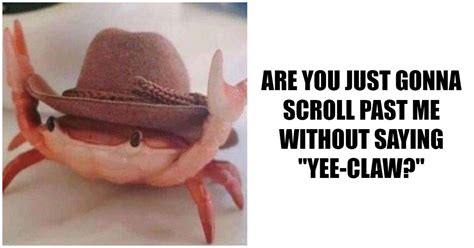 69 Clean Memes That Take Family-Friendly to a Funny New Level