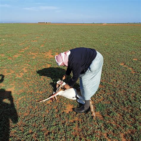 THE BEST Places to Visit in Albertinia (2025) - Must-See Attractions