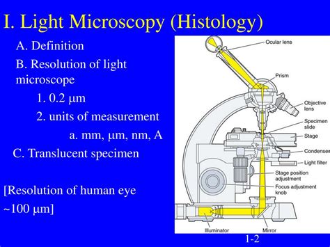 Tissue Processing 的图像结果