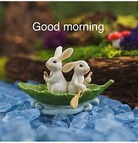 Image result for KJV Winter Rabbit Good Morning