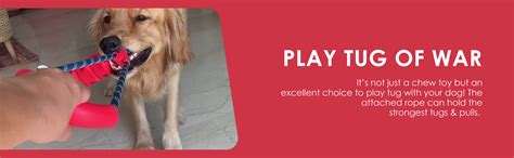 Buy the Ultimate Chew Stick Dog Toy - Interactive Chew Toy for Dogs ...