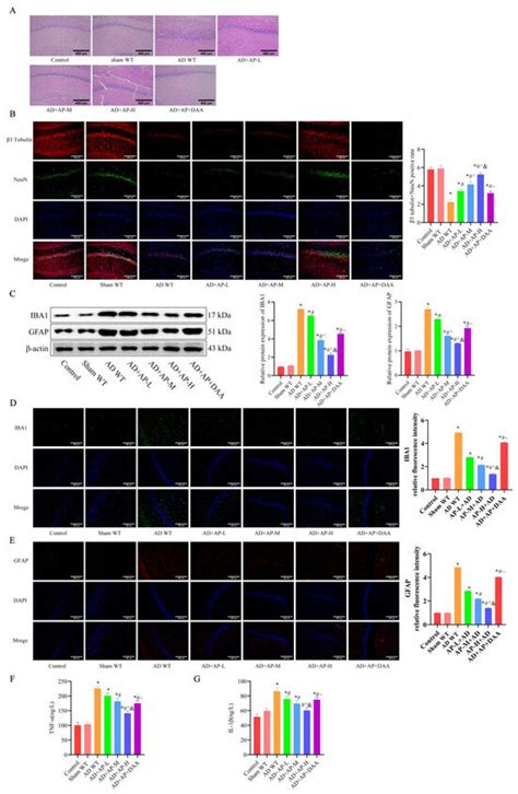 Biomolecules | August 2025 - Browse Articles