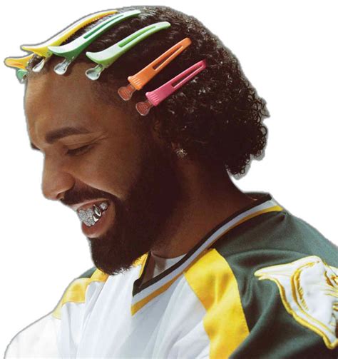 OBSCYON Plastic Non Slip Hair Clips - Salon-Quality Styling | Drake ...