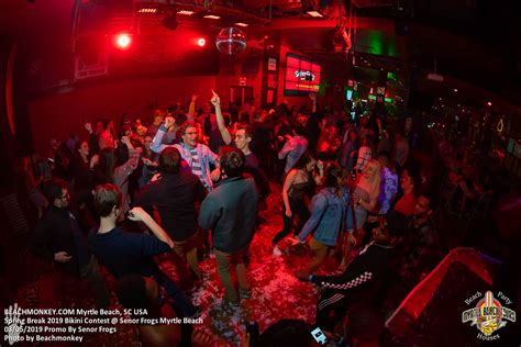 Image result for Spring Break 2019 Contest