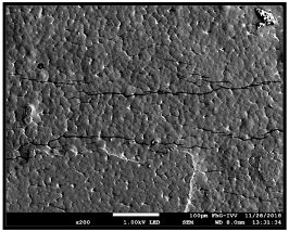 Extrusion Coating of Paper with Poly(3-hydroxybutyrate-co-3 ...