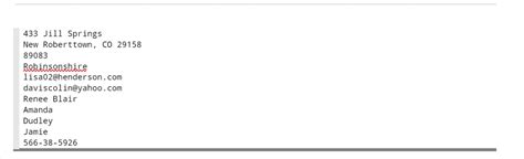 Faker Python Providers 的图像结果