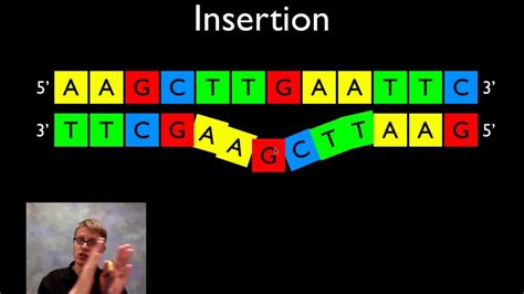 Image result for Point mutation Definition
