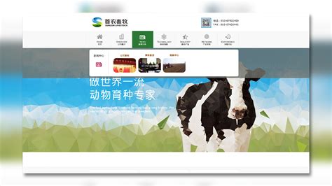 畜牧业网站设计_东道品牌创意设计
