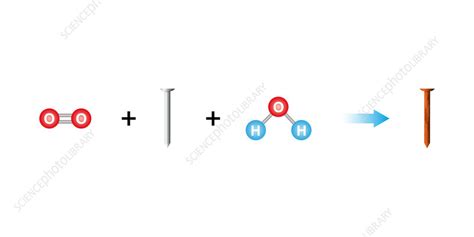 Image result for Rusting Science