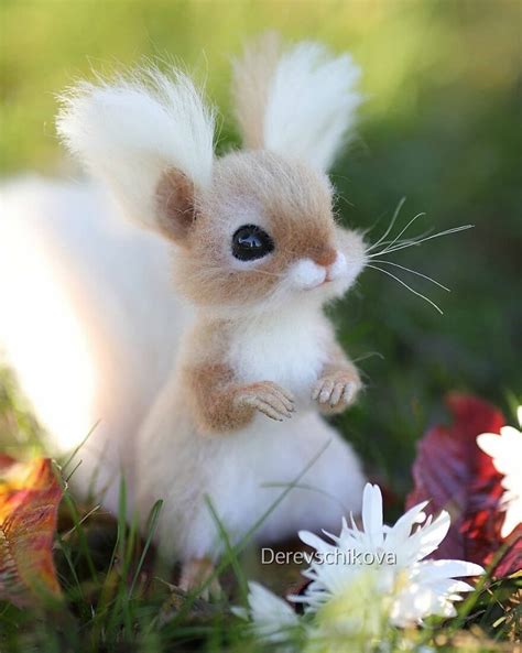 Woolen Thread Animals 的图像结果