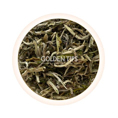 Buy Online Premium Darjeeling Teas 2025 – Golden Tips Tea (India)
