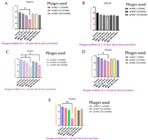 The Ability of Bacteriophages to Reduce Biofilms Produced by ...