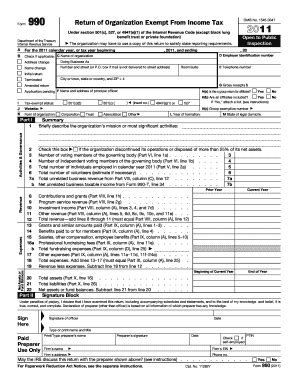 Form 990 Return of Organization Exempt From Income Tax - Blank Fillable ...