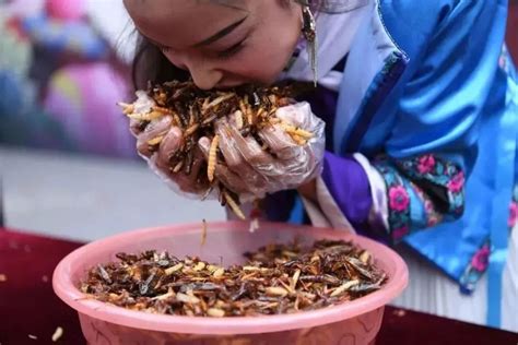 “吃虫子”流行一时！虫子真的可以吃？虫子怎样吃才安全？_腾讯新闻