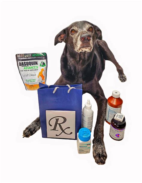 Valrico Animal Clinic