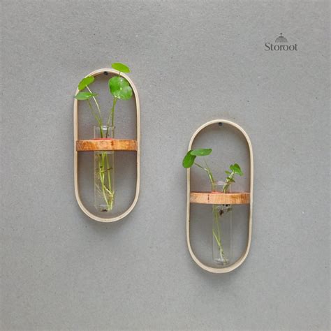 Minimal Ovel Test Tube Wall Planter – Storoot