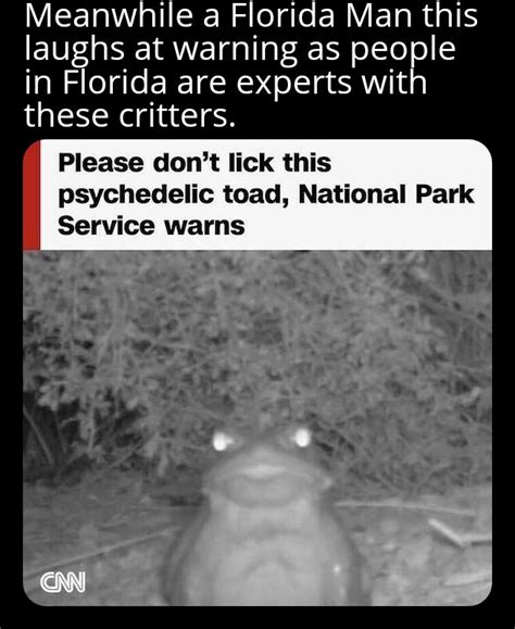 Image result for Bup Toad Meme