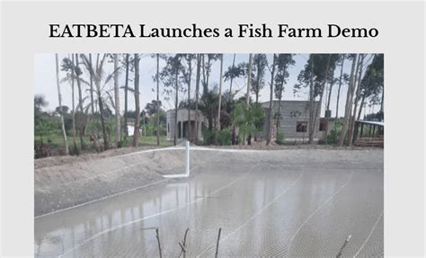 Image result for Note Block Fish Farm