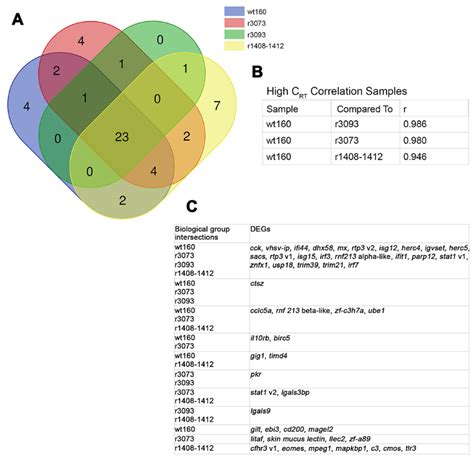 Immune Response of Senegalese Sole against Betanodavirus Mutants with ...