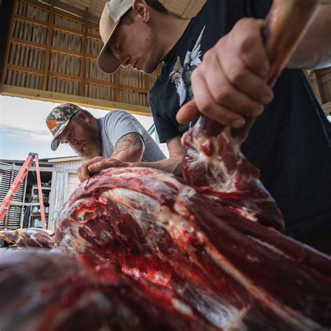 The Hog Book - Ourthemeateaterstore