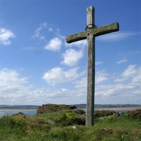 Image result for Parable Three Trees