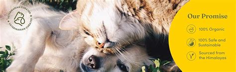 Buy Vedic Tails Hemp Seed Oil for Pets | 100% Natural | Pain Relief ...