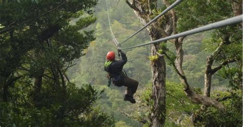 nyungwe canopy walk