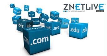 Buy Domain Name India From ZNetLive | Domain Registration